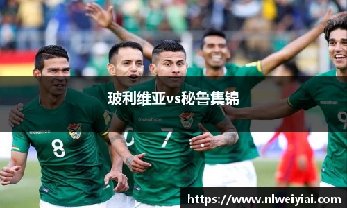 玻利维亚vs秘鲁集锦