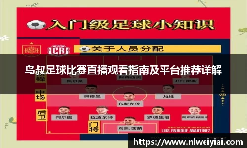 鸟叔足球比赛直播观看指南及平台推荐详解